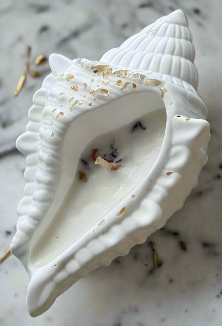 OCEAN CONCH CANDLE