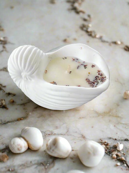 COASTAL BREEZE SHELL CANDLE