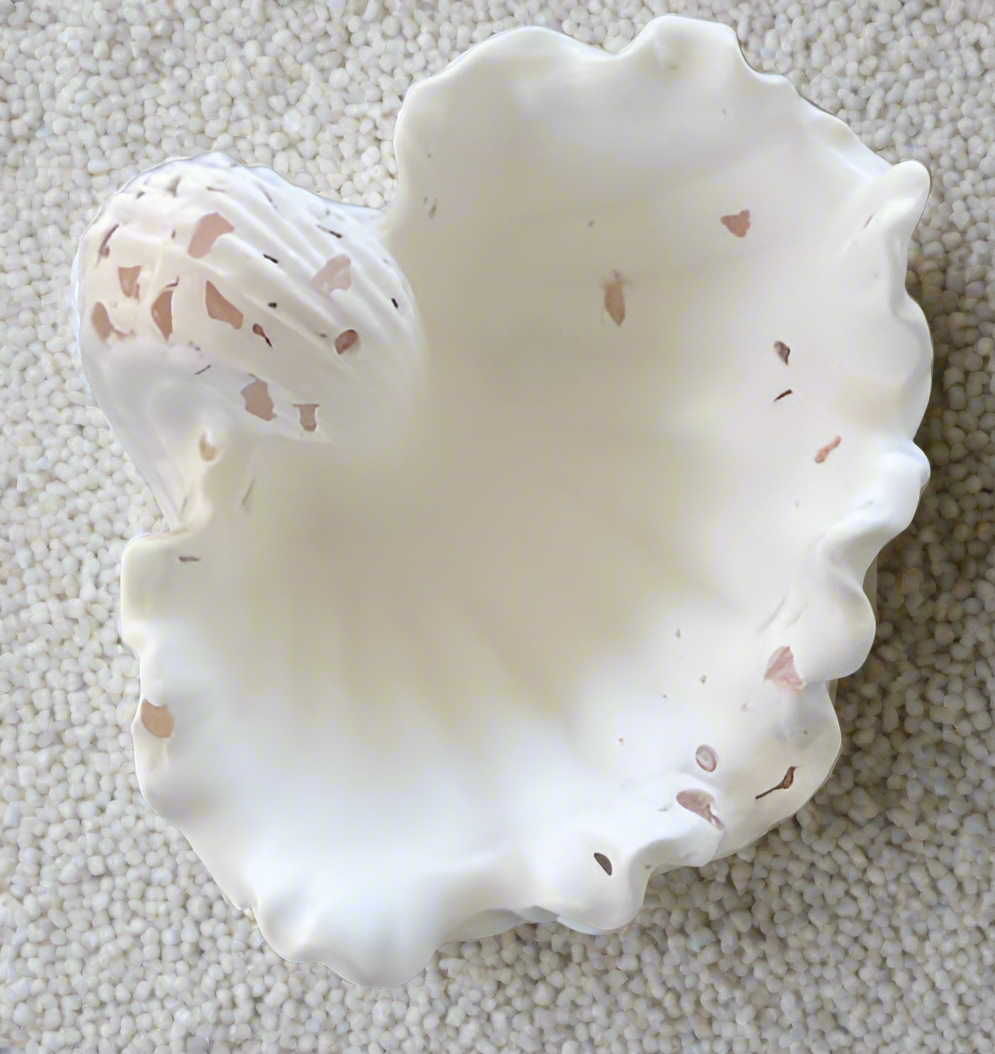 CLAM SHELL DISH ~ SMALL