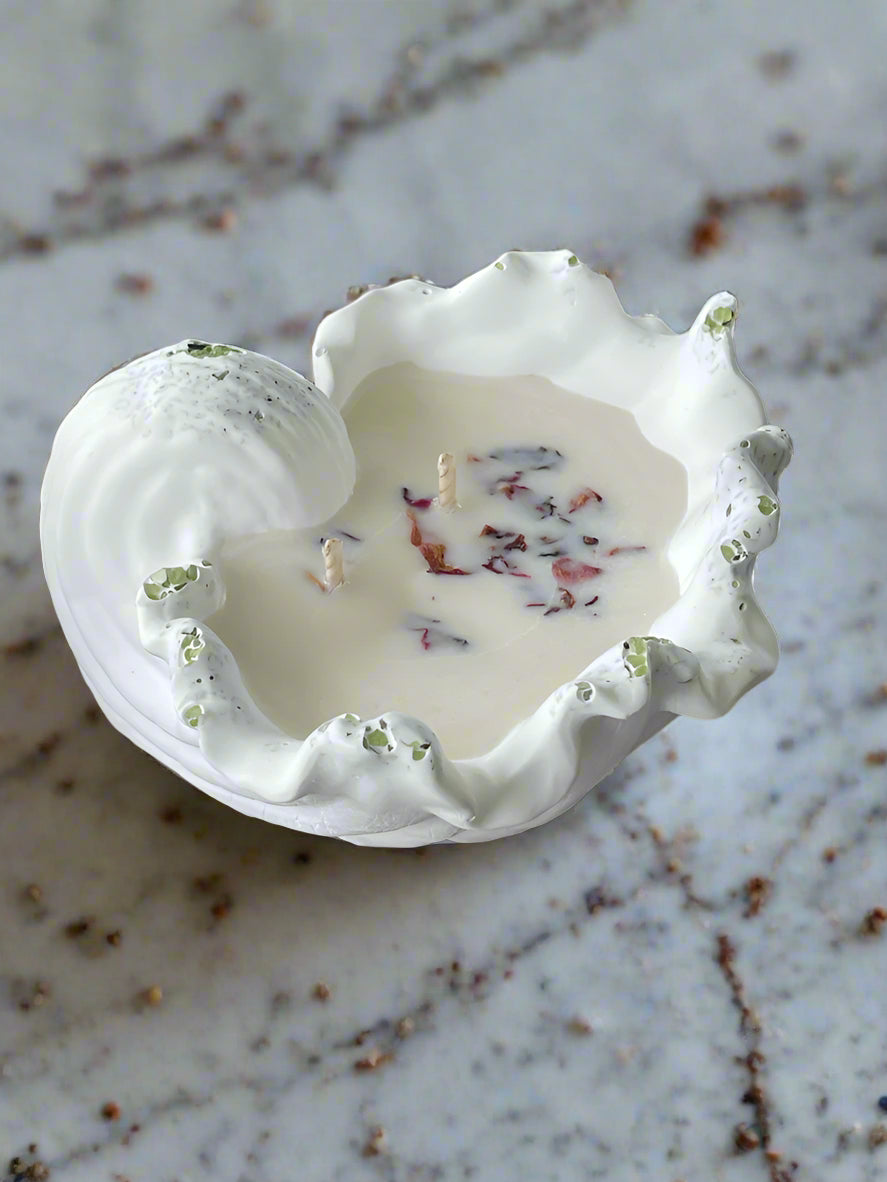 ECO CLOUD CLAM SHELL CANDLE
