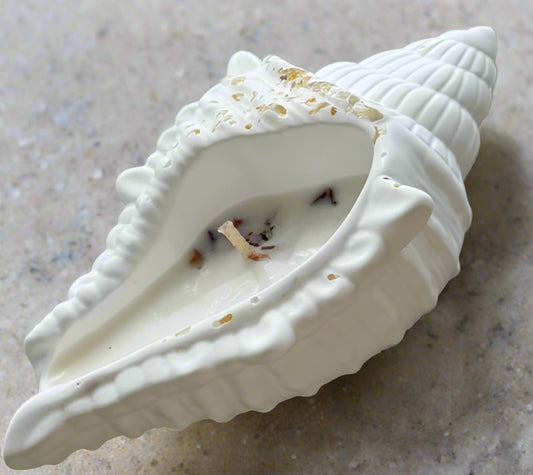 OCEAN CONCH CANDLE