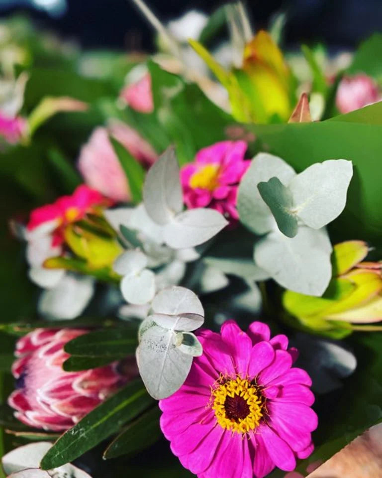 FLORIST CHOICE BLOOMS