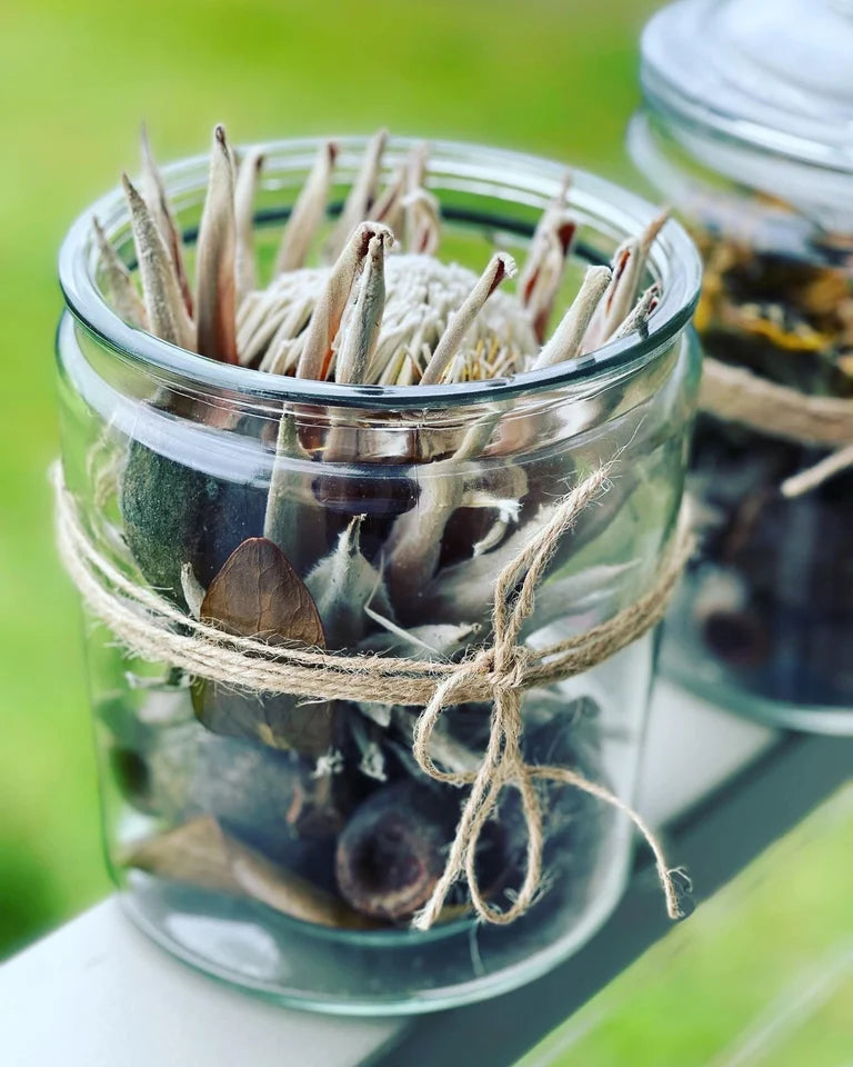 NO REED DIFFUSER ~ EXTRA LARGE