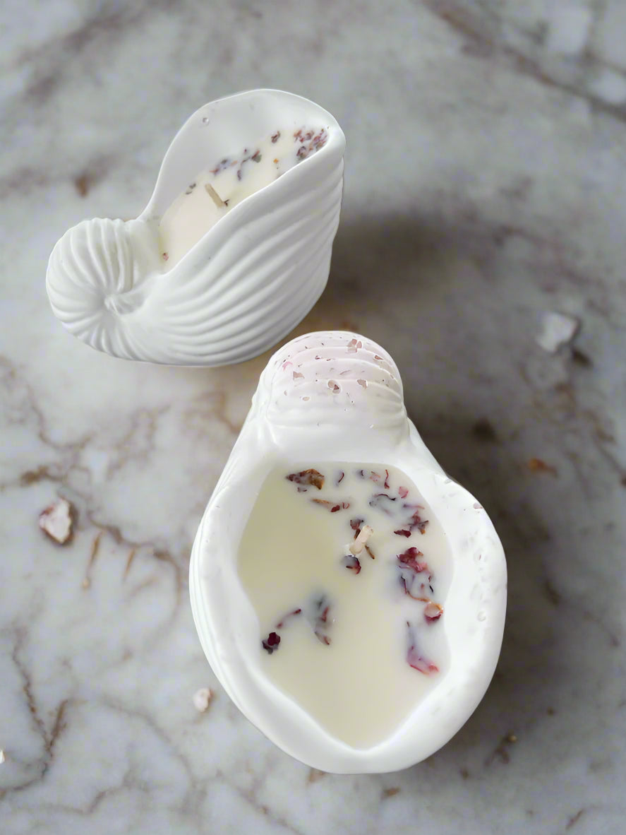 COASTAL BREEZE SHELL CANDLE