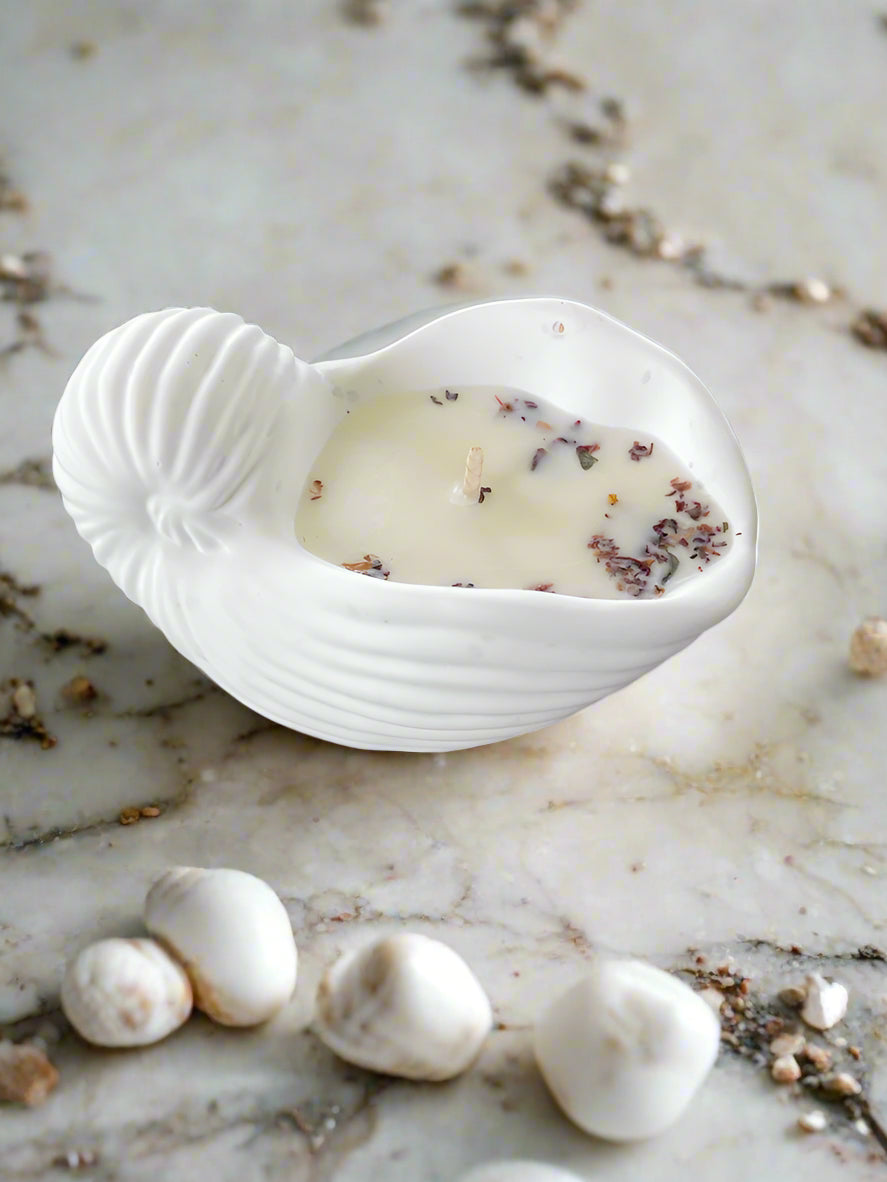 COASTAL BREEZE SHELL CANDLE